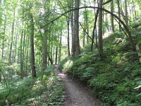 Tsali trail