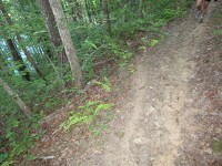 the scene of the wipeout