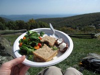 hard to beat a lunch like this.\nfresh salad, bread and nutella, and dates with goat cheese