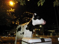 yo know, that cow they park down in Rosslyn