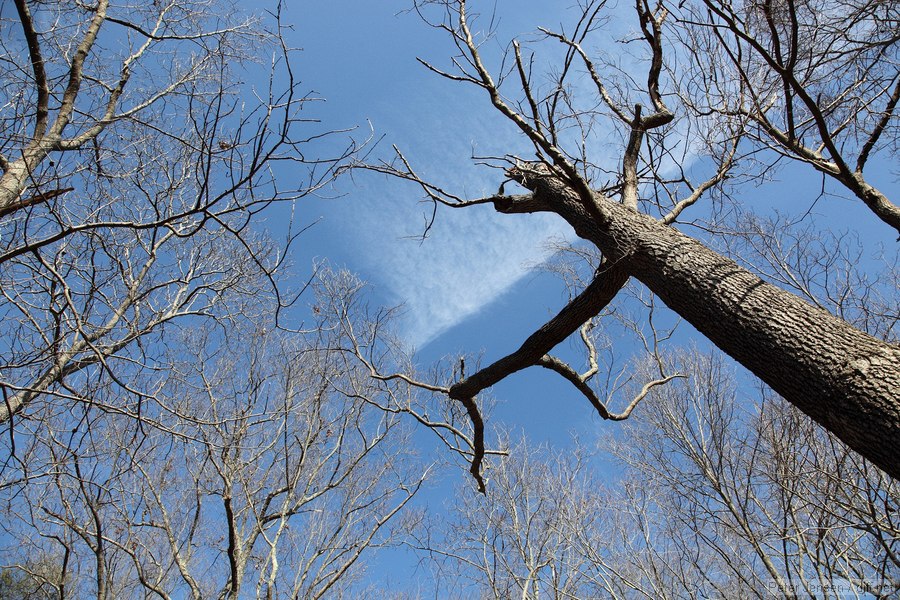 sky