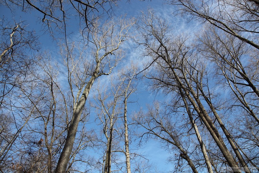 sky