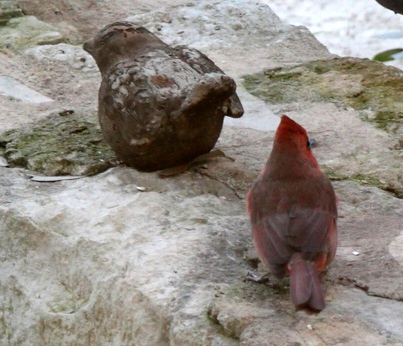 fake bird contemplates real bird