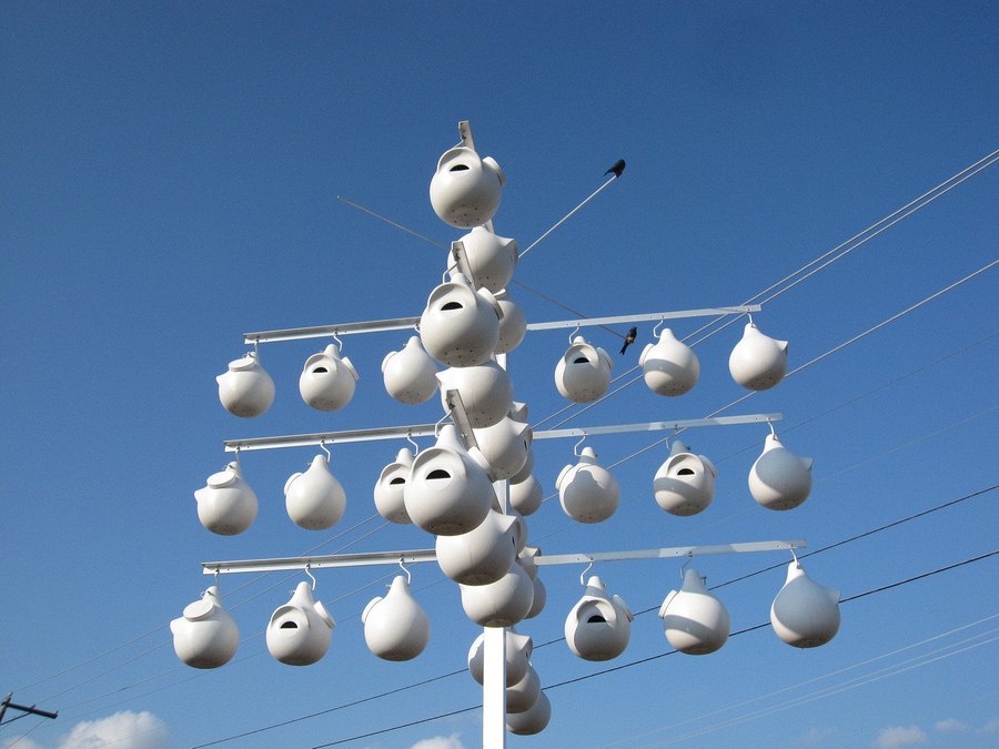 Texas Parks and Wildlife bird houses