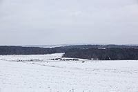 Flight 93 site