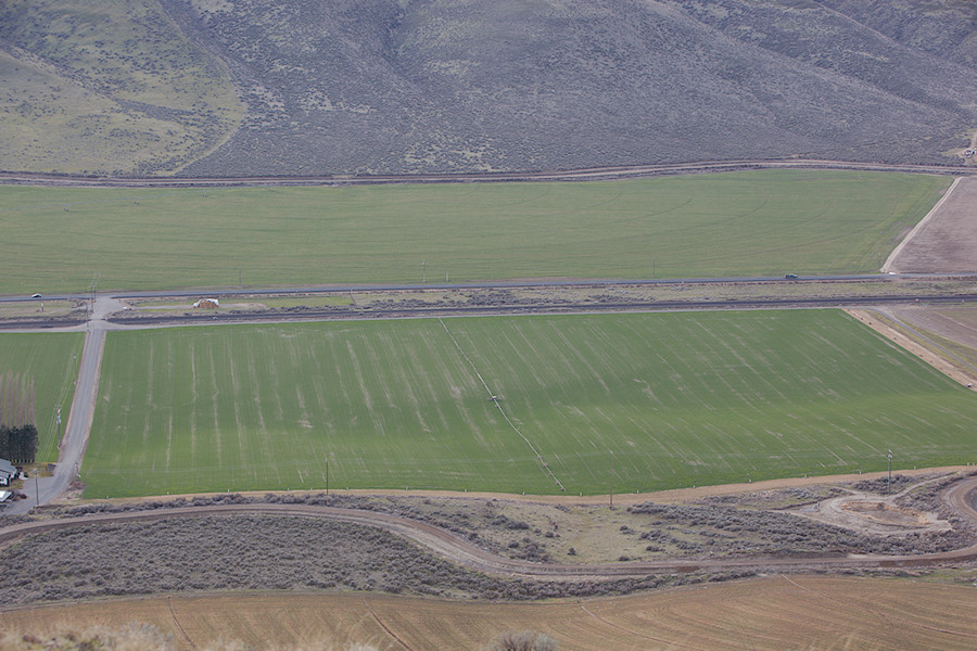 valley below Eagle Butte