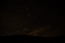 stars