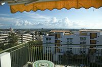 The View