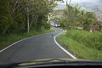 chicken, quite literally crossing the road