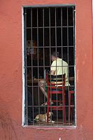 man on barstool with dog