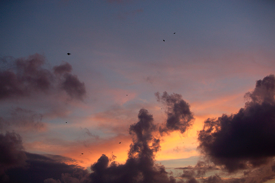 kites over El Morro