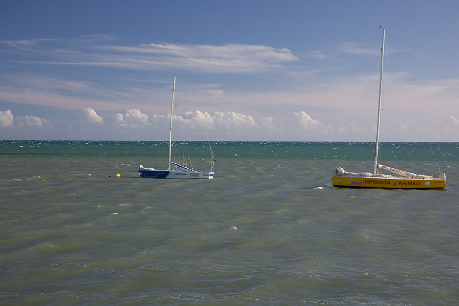 sailboats