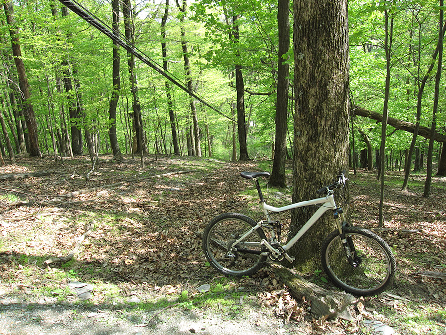 low cables at Gambrill State Park