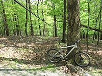 low cables at Gambrill State Park