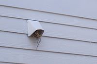 the nest