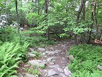 typical rocks at Gambrill