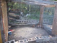 chicken coop