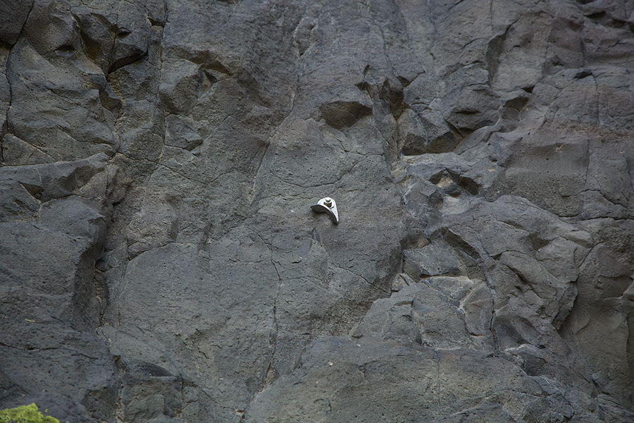 one of the pieces of fixed protection in place
