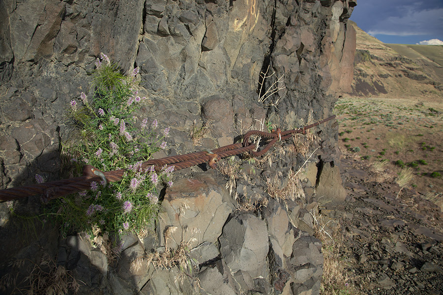 cable around one of the sisters