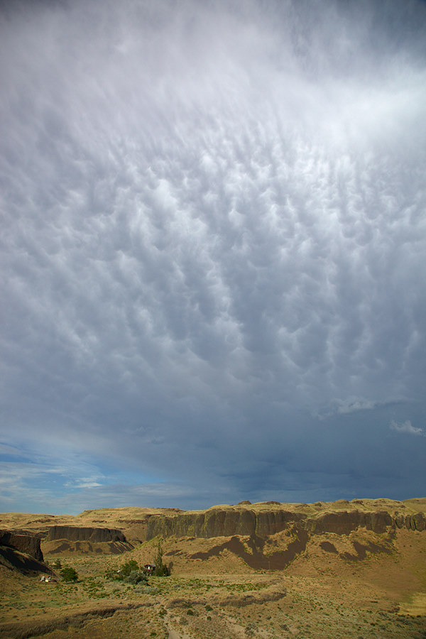 mammata clouds