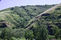 parts of the wooden flume are barely visible on the far side of the hill