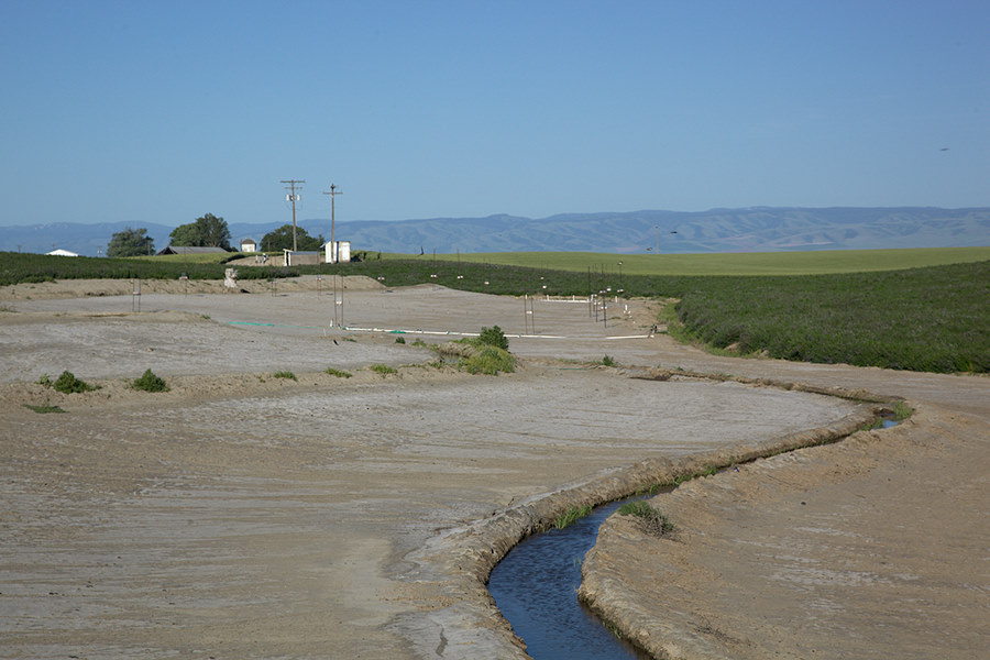 Alkali bee nesting area