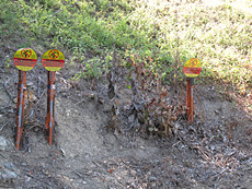 Colonial Pipeline along Marriotsville Rd