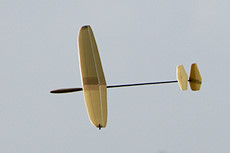 Lighthawk