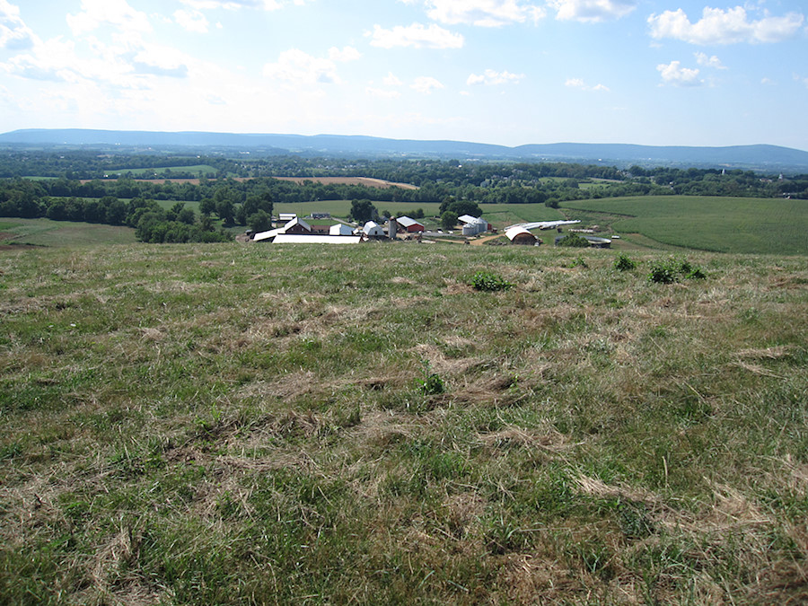 Jefferson slope site