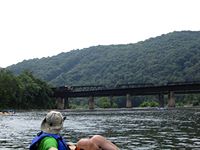 two trains passed while we were near the bridge