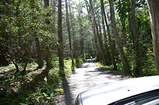 chasing Rob down the path