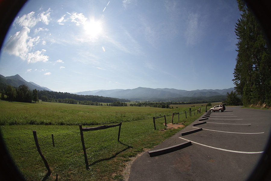 in Cades Cove