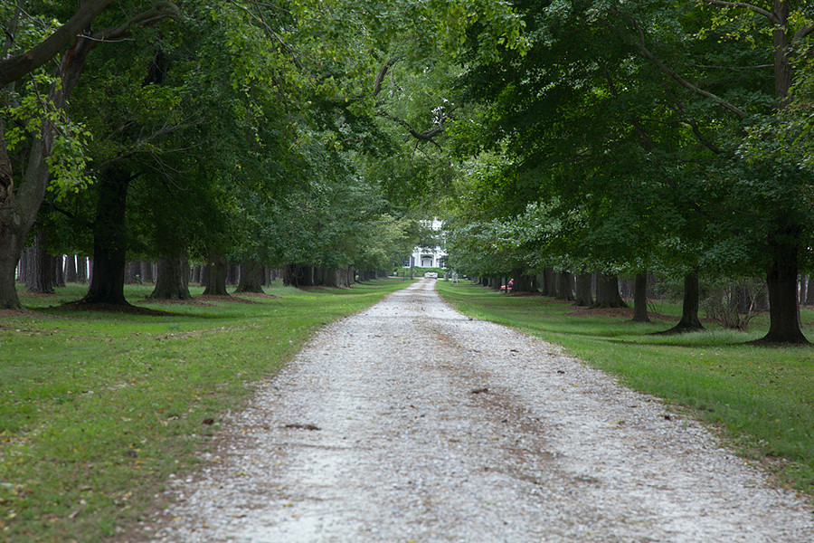 awesome driveway