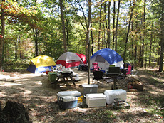 not that VA is really bear country, but these were our neighbors