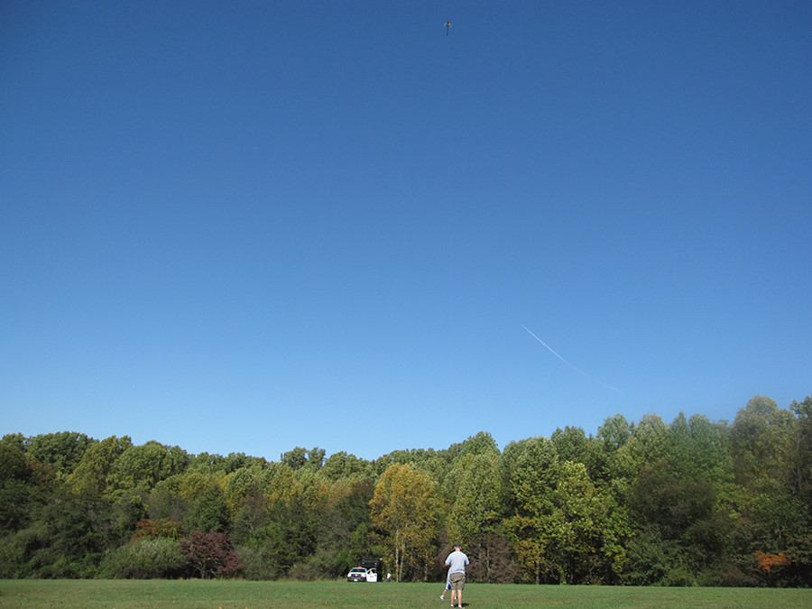 idyllic kite flying