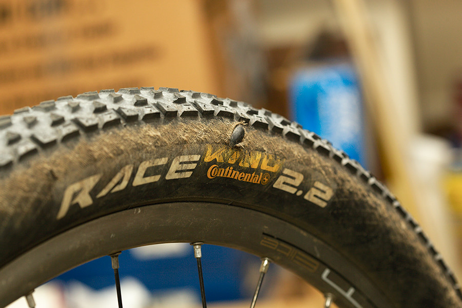 Who would have thought Race King Supersonics and the shed wouldn't mix? :)