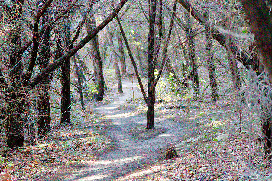 nice trail