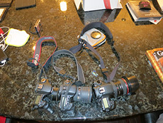 lots of Canon!