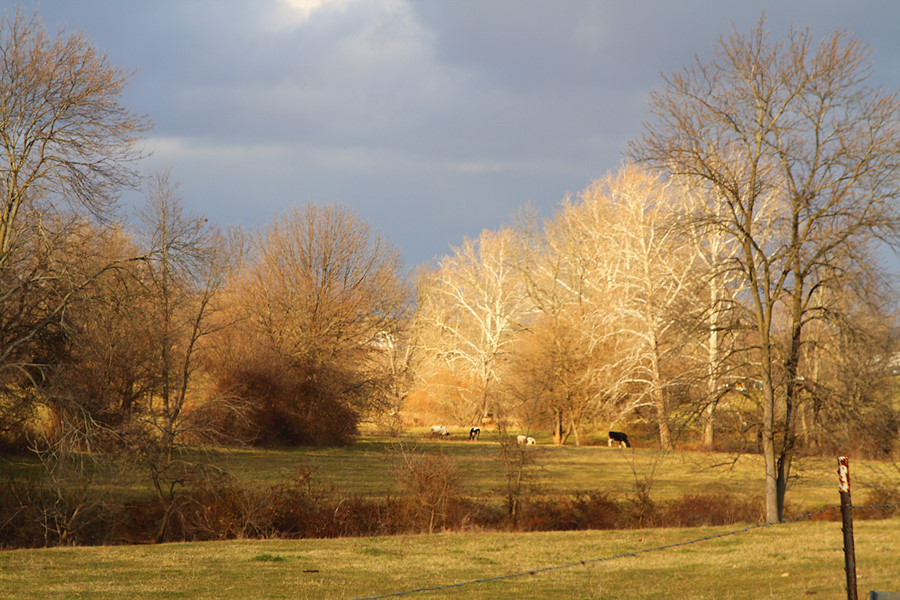 good light, car was moving too fast