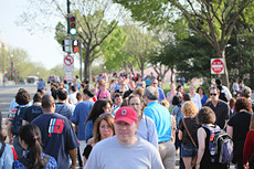 the masses