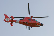 USCG 6593 Dolphin