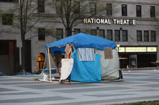 occupy DC