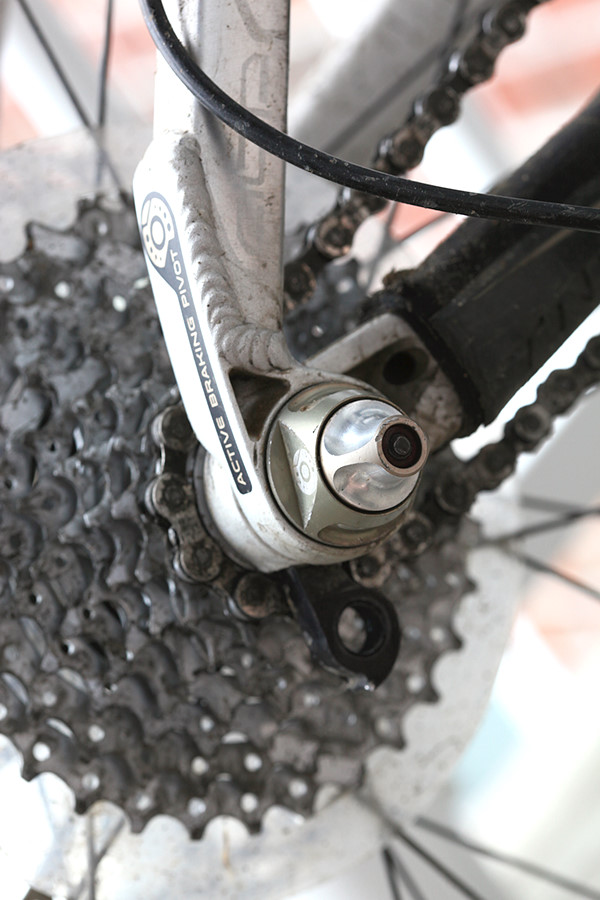 close-up of the 22mm suspension pivot bolt that holds the derailleur hangar in