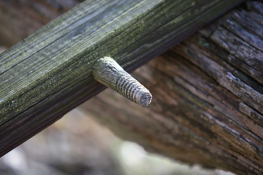 where the insulators attached