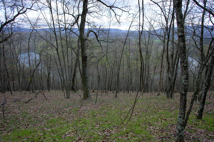 one of the Paw Paw bends from the tunnel trail