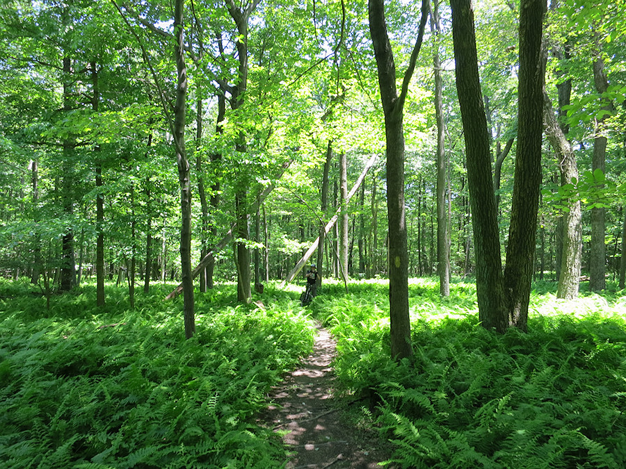 Gambrill State Park