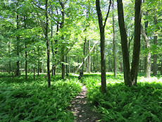 Gambrill State Park