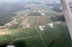 we flew over a lot of future chicken nuggets