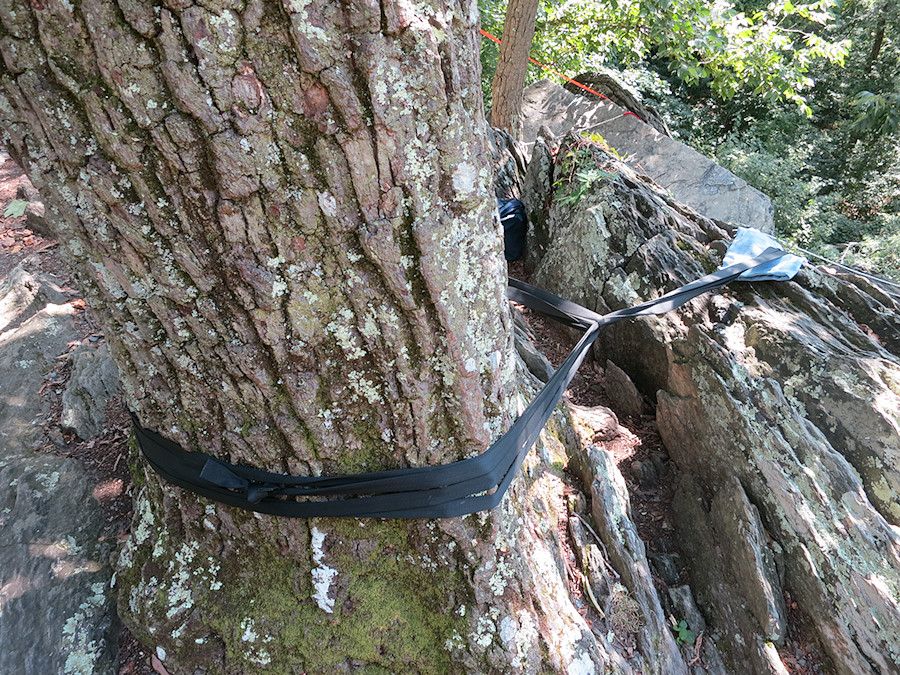 another nice anchor - redundant webbing loops, knots in the back of the tree, and a piece of old jeans protecting the webbing from abrasion