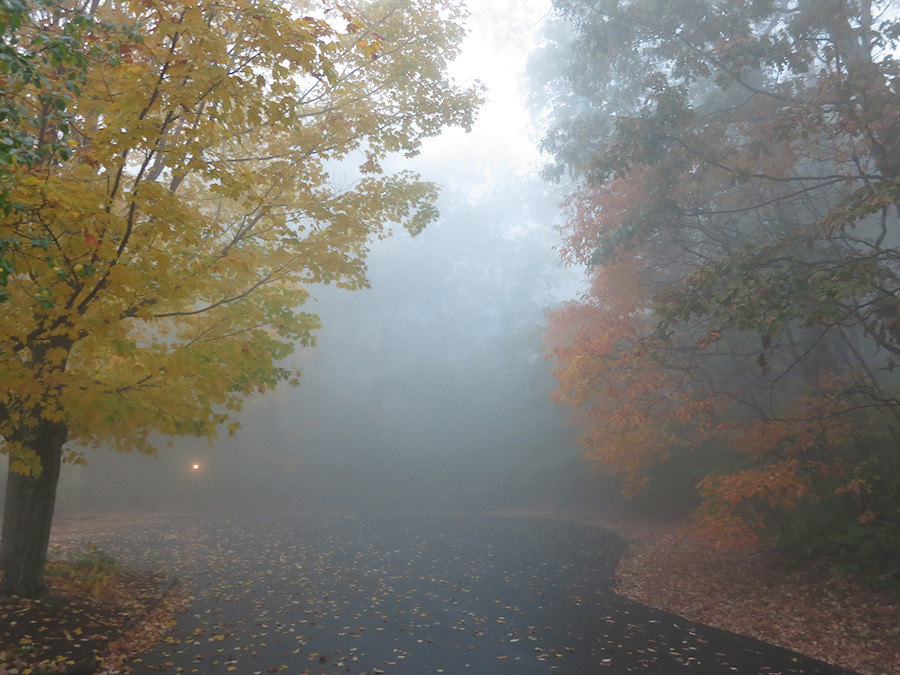 foggy morning